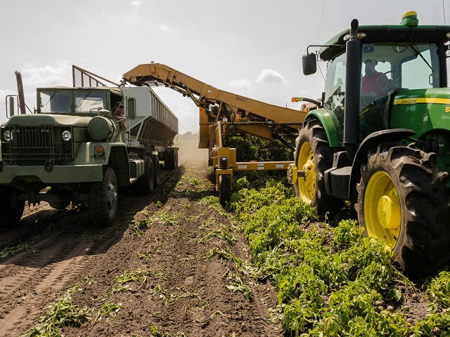 Agricultural Sciences